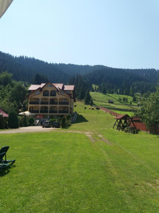 Pensiunea Alunis Hotel Sadova  Kültér fotó
