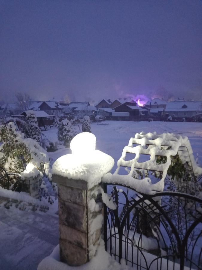 Pensiunea Alunis Hotel Sadova  Kültér fotó