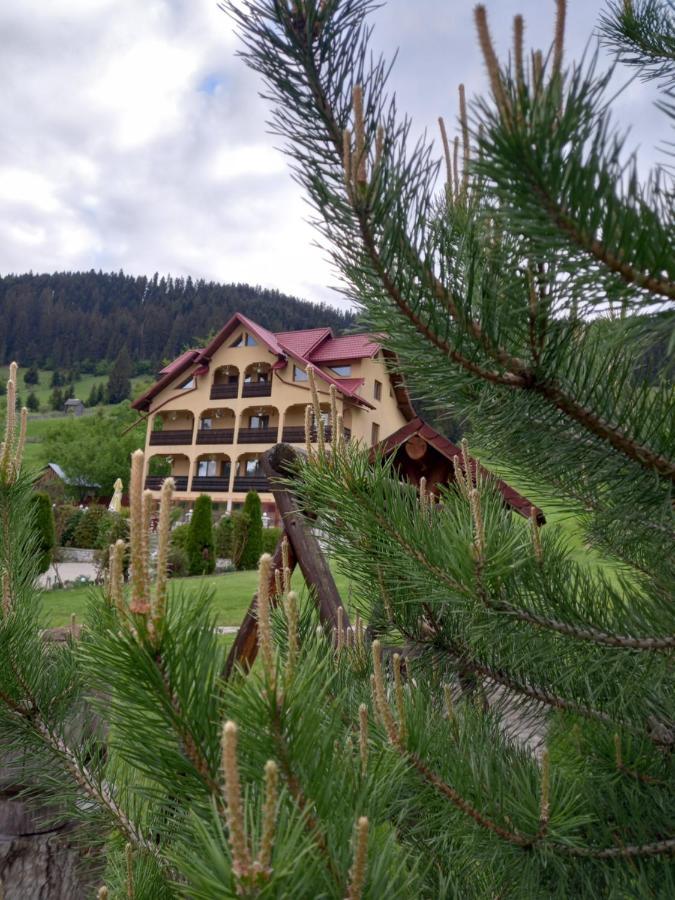 Pensiunea Alunis Hotel Sadova  Kültér fotó