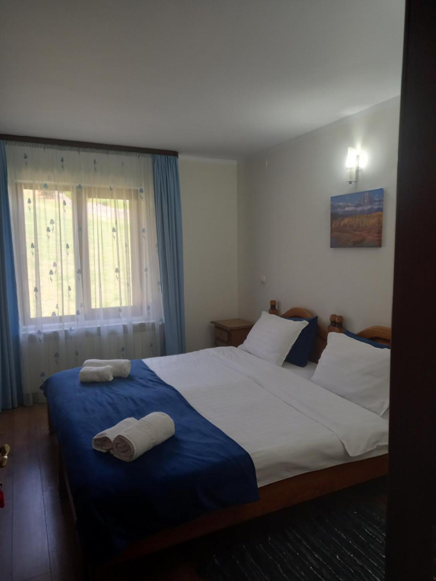 Pensiunea Alunis Hotel Sadova  Kültér fotó