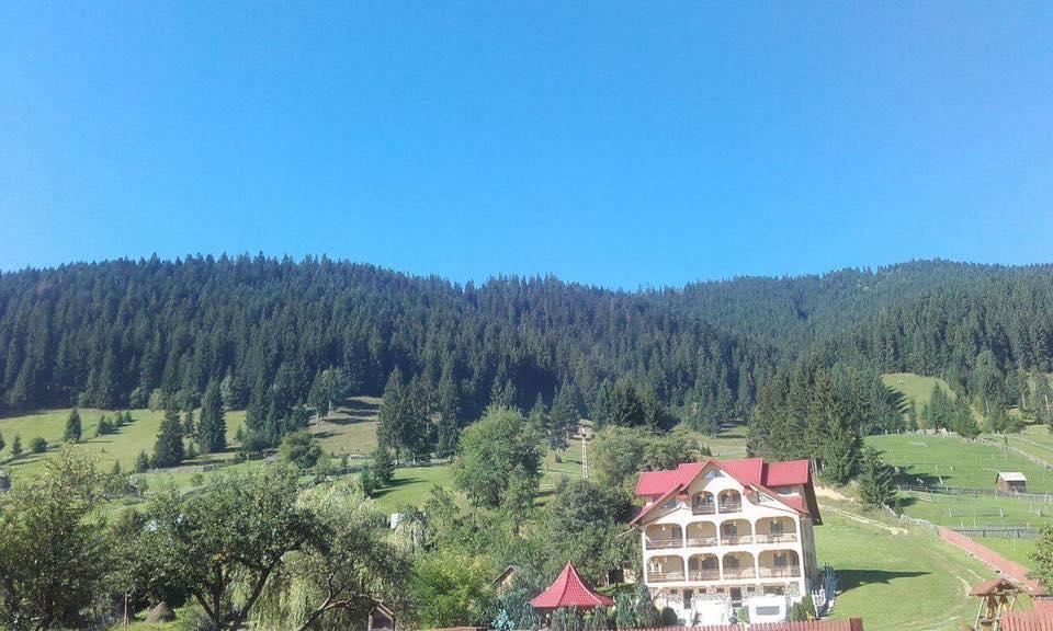Pensiunea Alunis Hotel Sadova  Kültér fotó