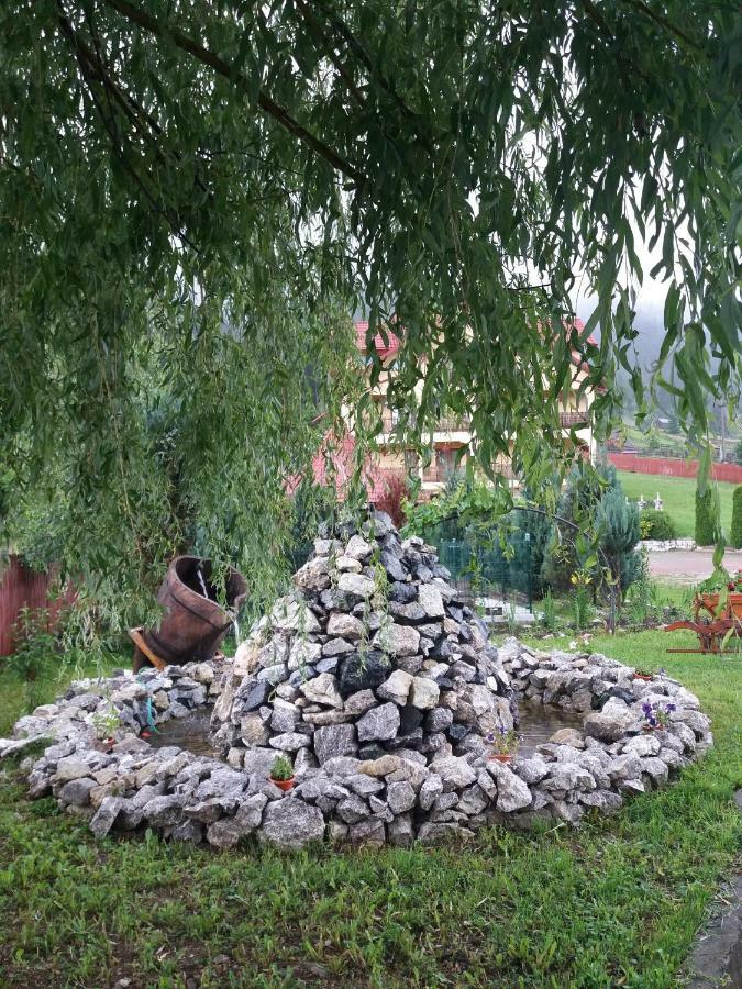 Pensiunea Alunis Hotel Sadova  Kültér fotó